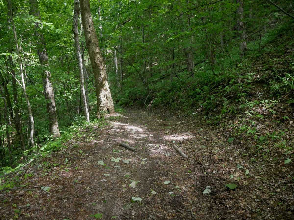 MV59 photo 4