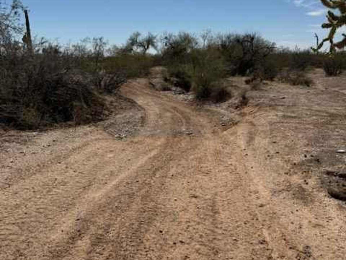 Nw2233 photo 5