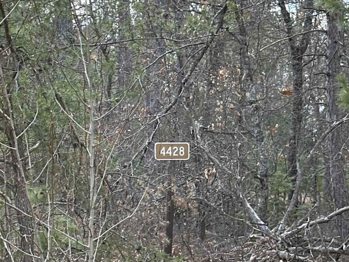 FS 4428 trail photo