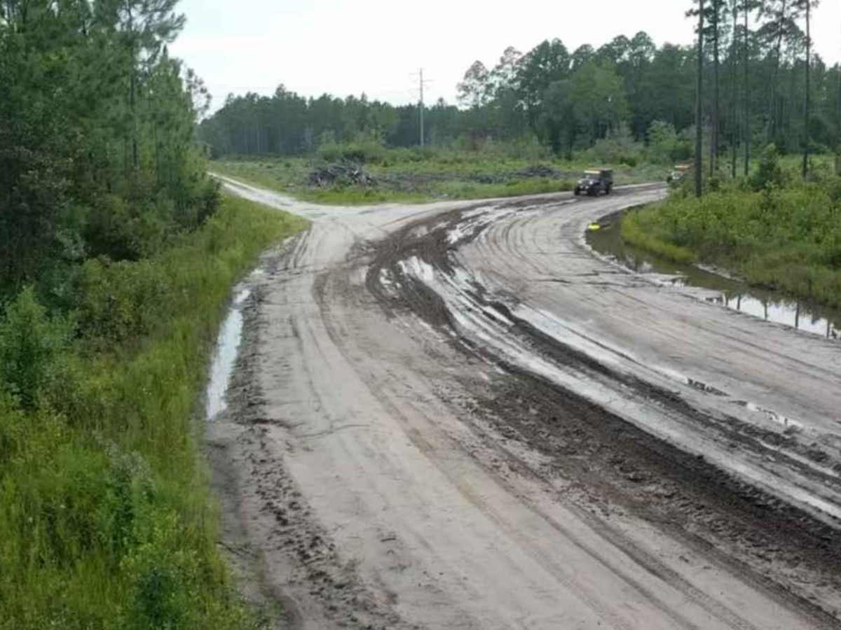 Satilla WMA Tour photo 4