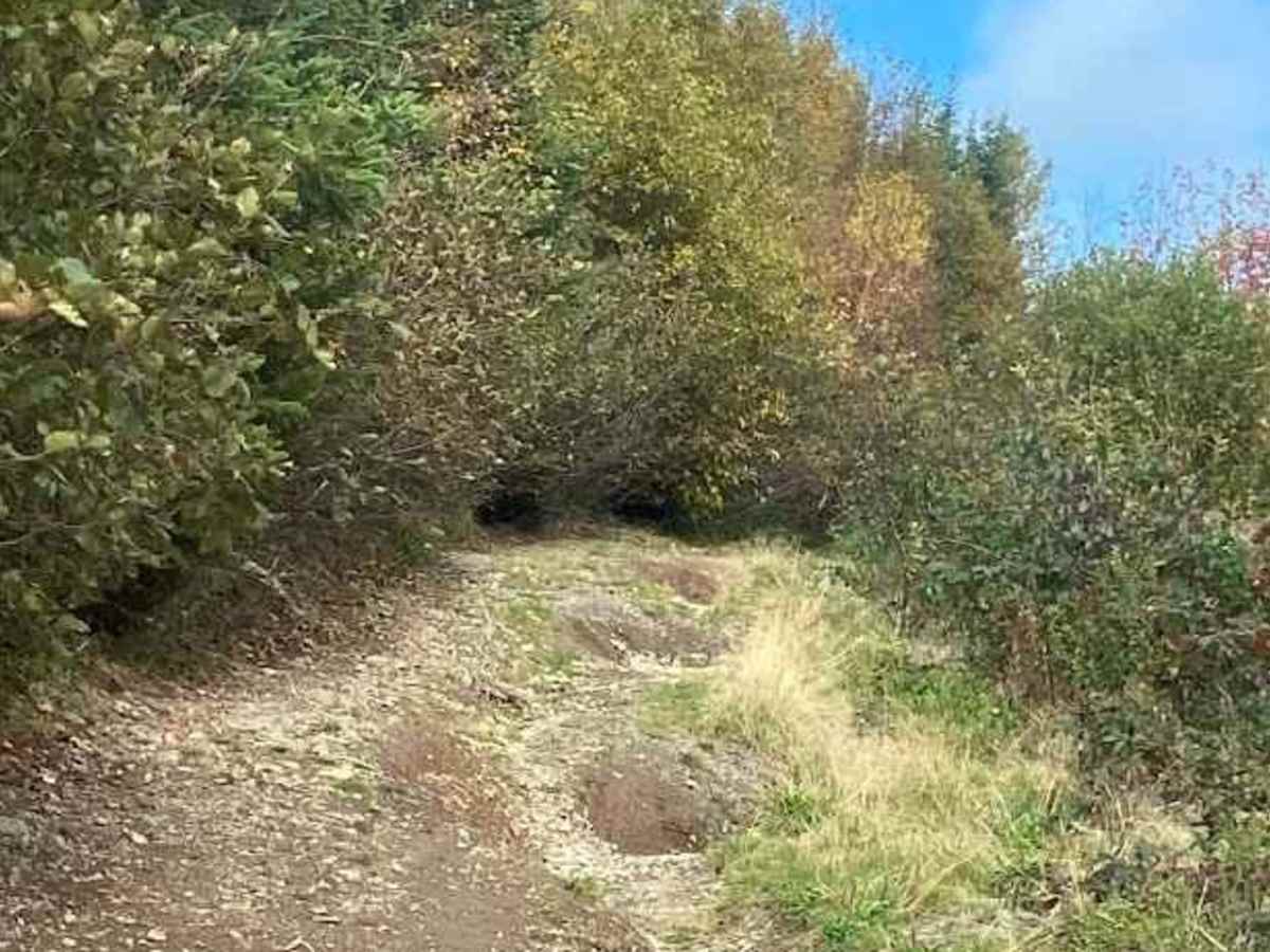 MacDonald's Glen Road photo 5