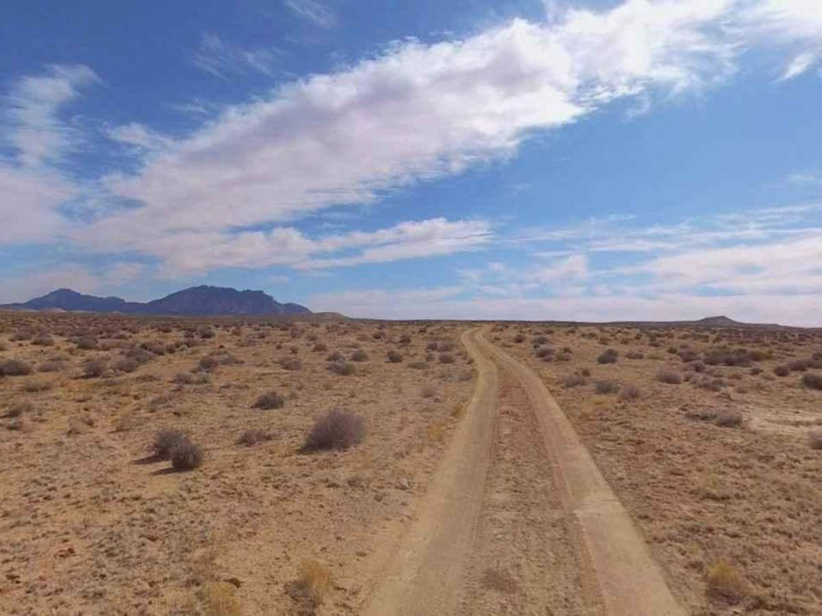 Clay Point-BLM13220 photo 5