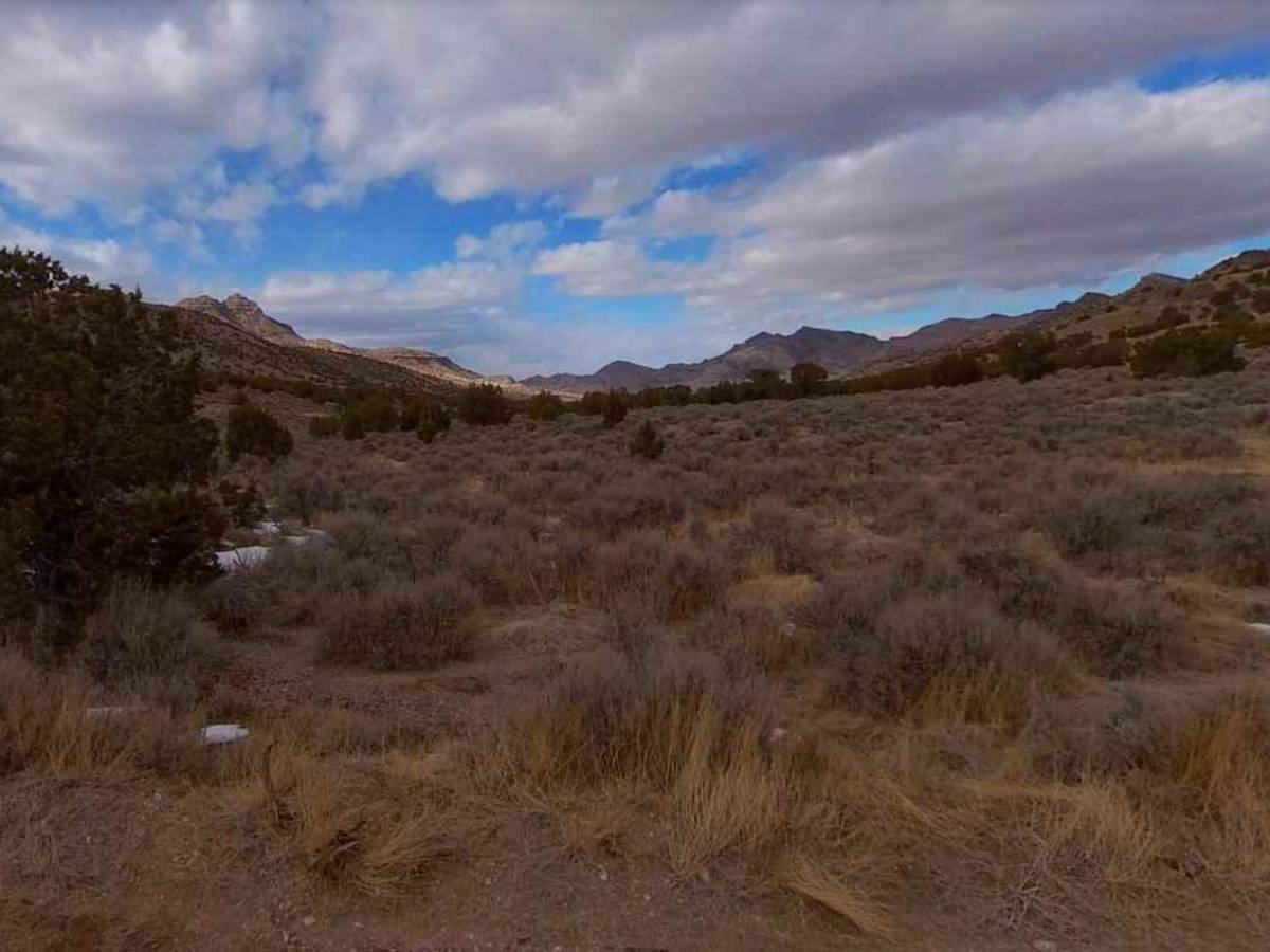 Cricket Mountain OHV Route 7 photo 6