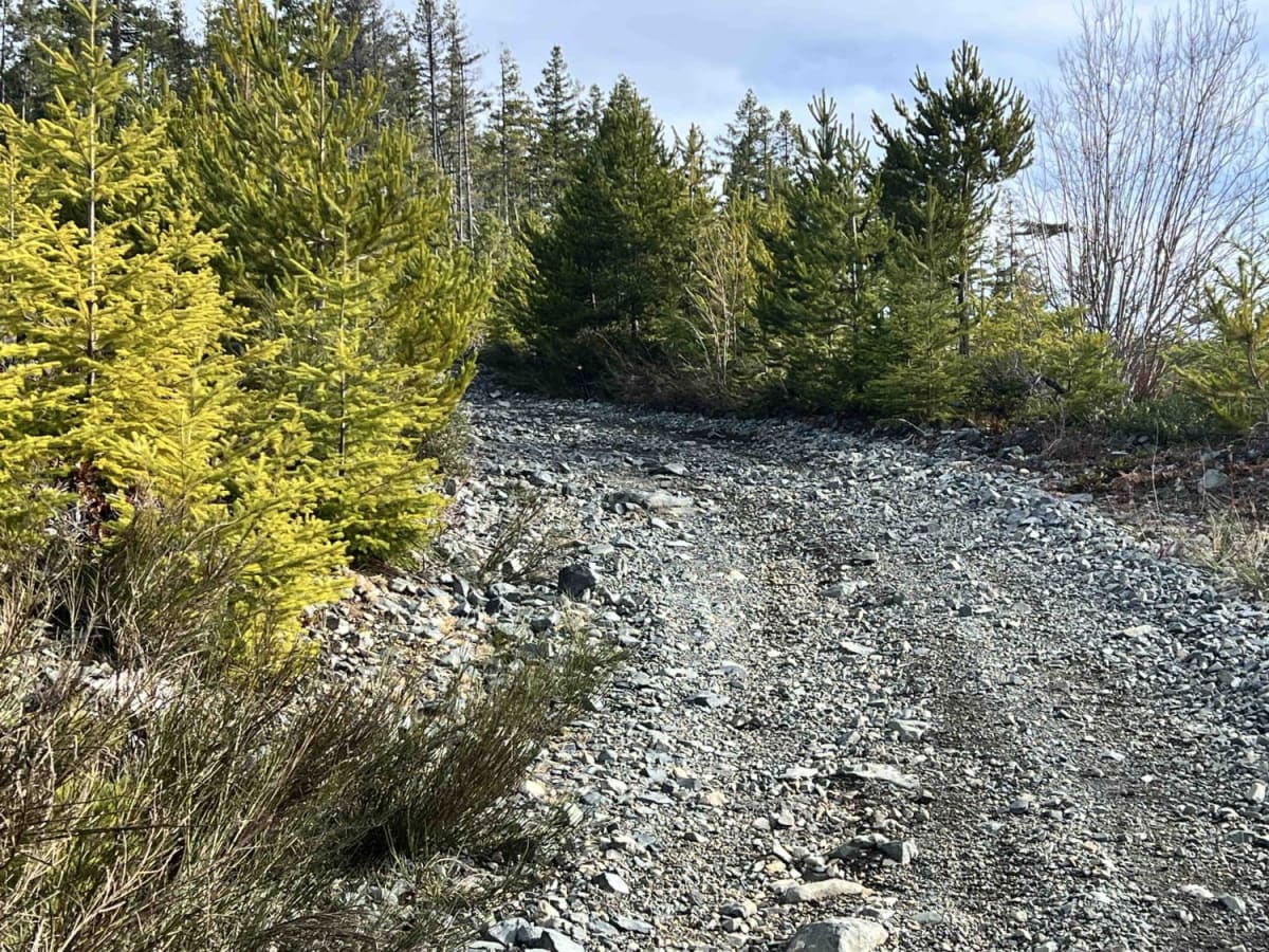 BlackJack Ridge Lookout photo 5