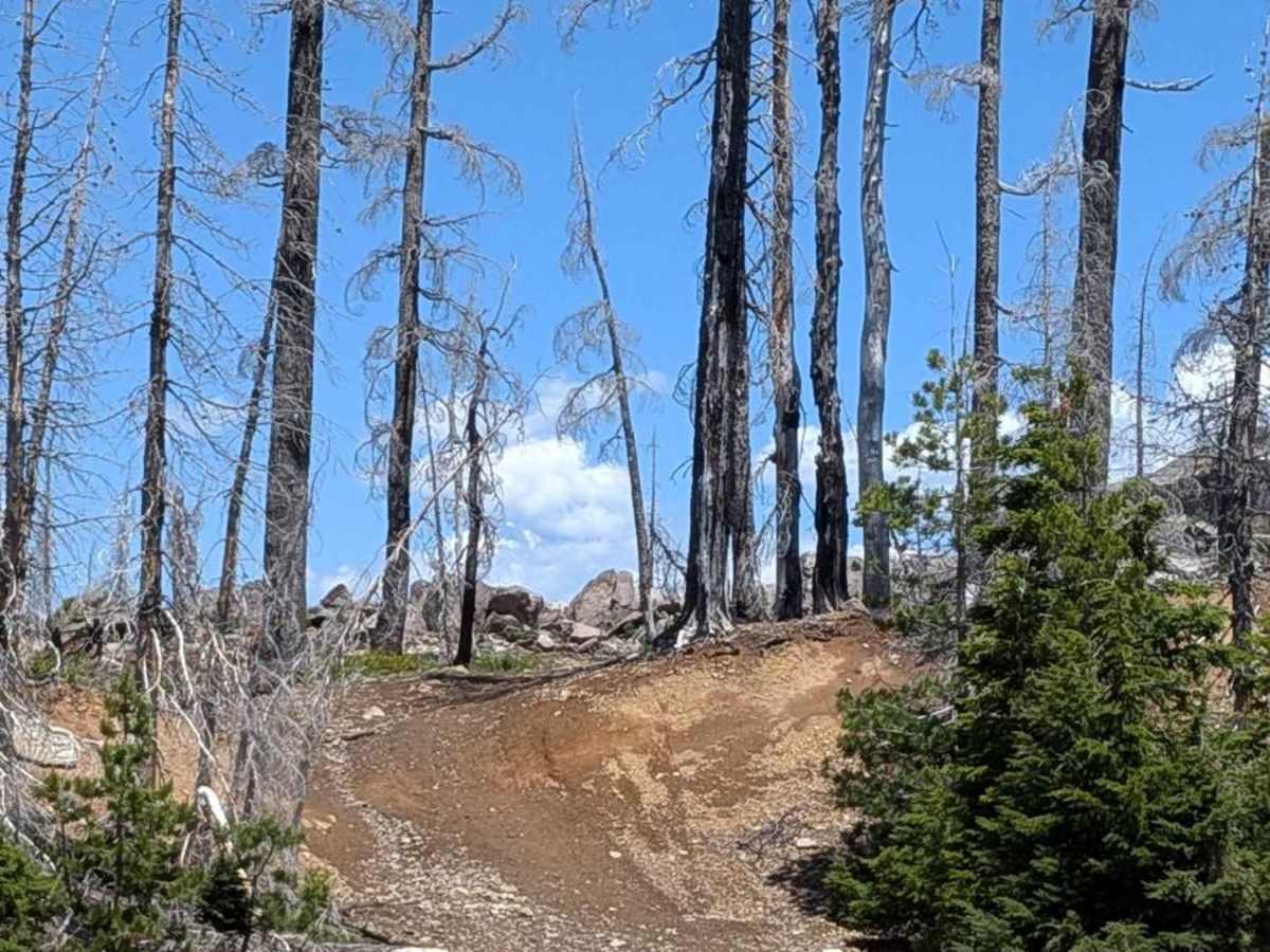 Spoon and Gibson Lakes - NF4220 photo 5
