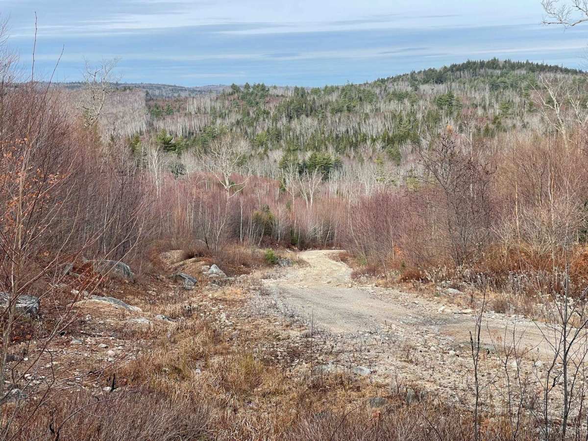 Shady Lake Trail photo 6