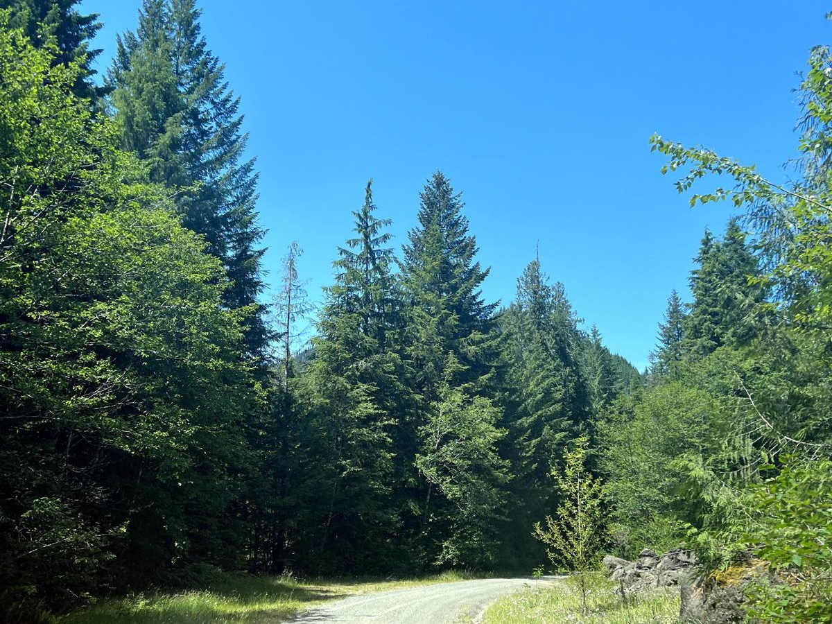 Pete's Creek Trail photo 5