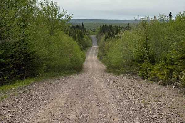 Trout Brook Road