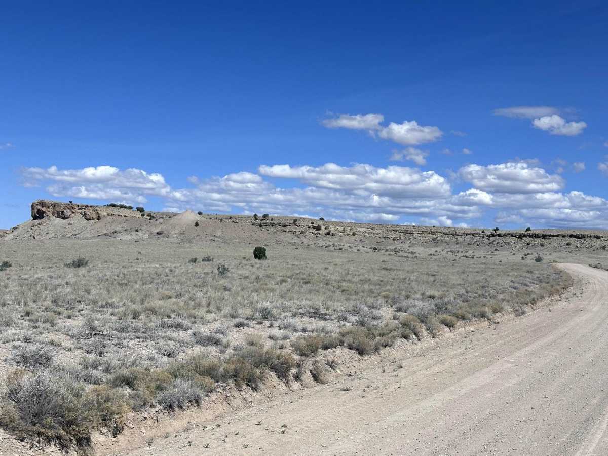 Mud Springs Road photo 6