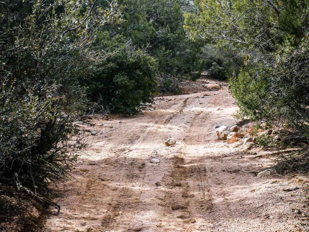 ATV Sand Wash Trail photo 4