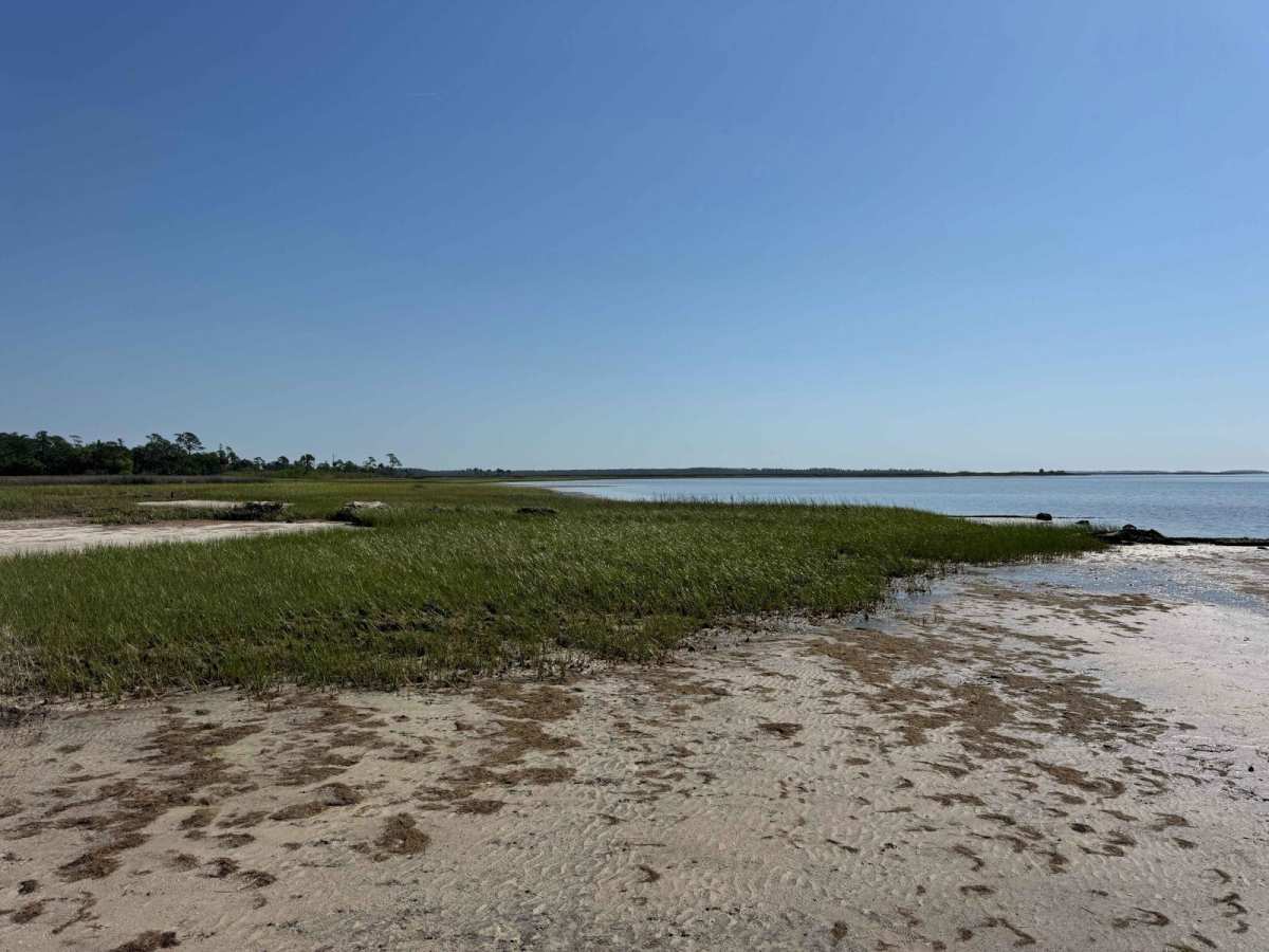 Wakulla Beach photo 5