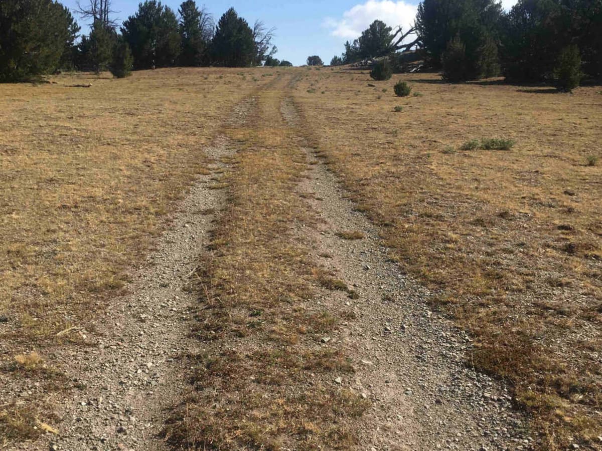 Peterson Creek Trail photo 6