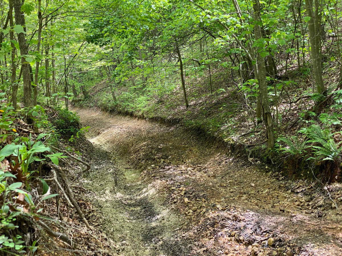 Comanche Hollow photo 4