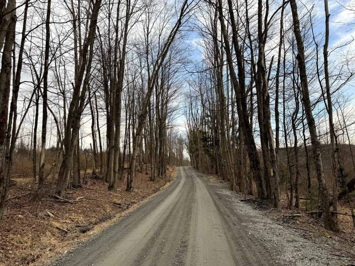 Kelly Road photo 4