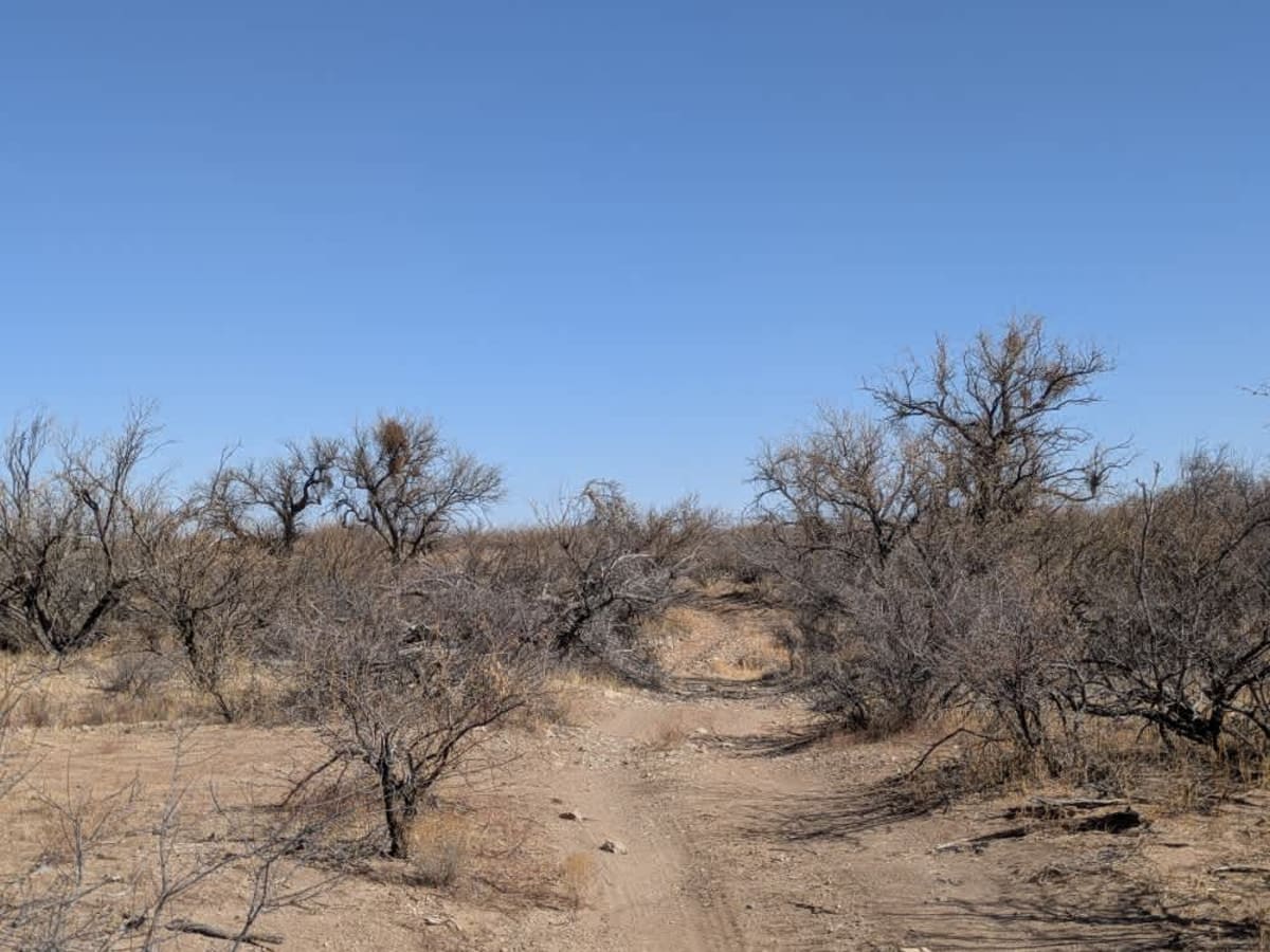 FR229 Bueno Tank Road trail photo