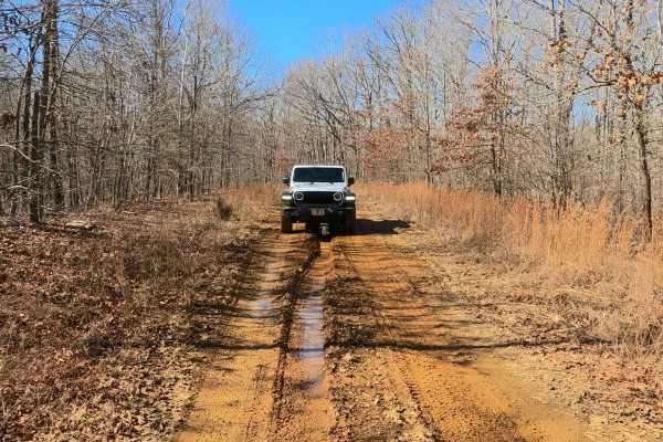 Racetrack Hollow Road - FS 131