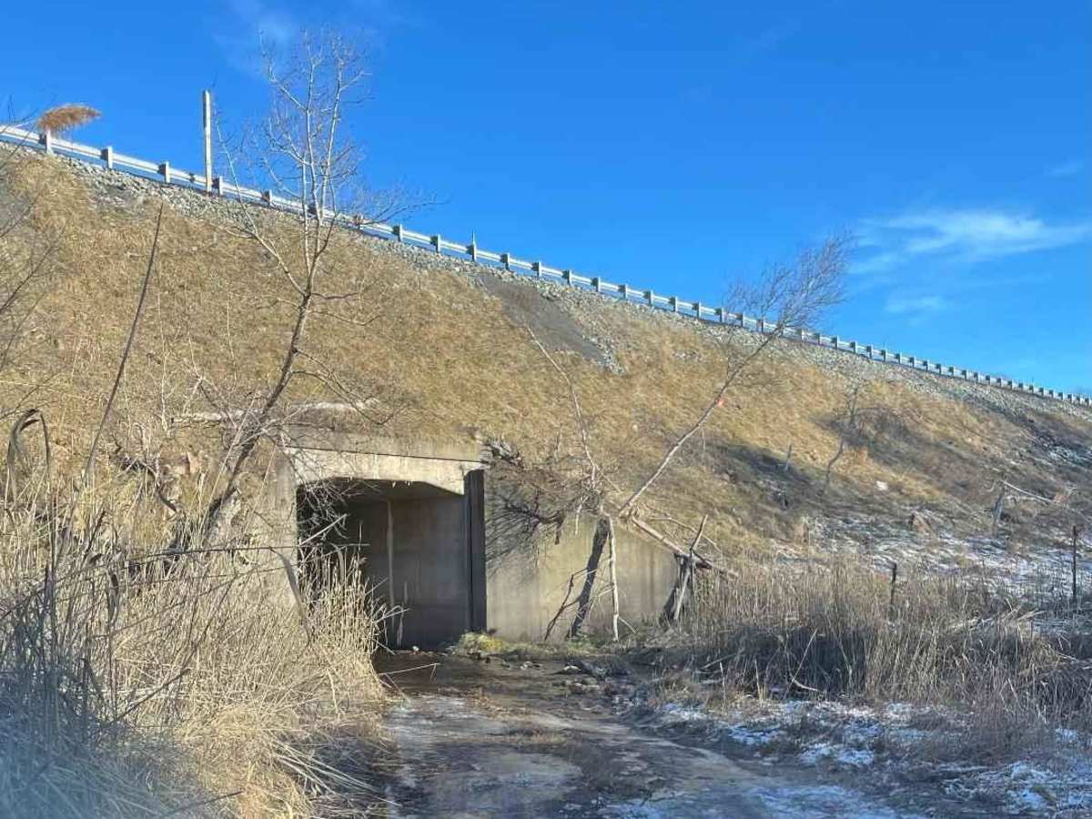 4th Run Trail photo 2
