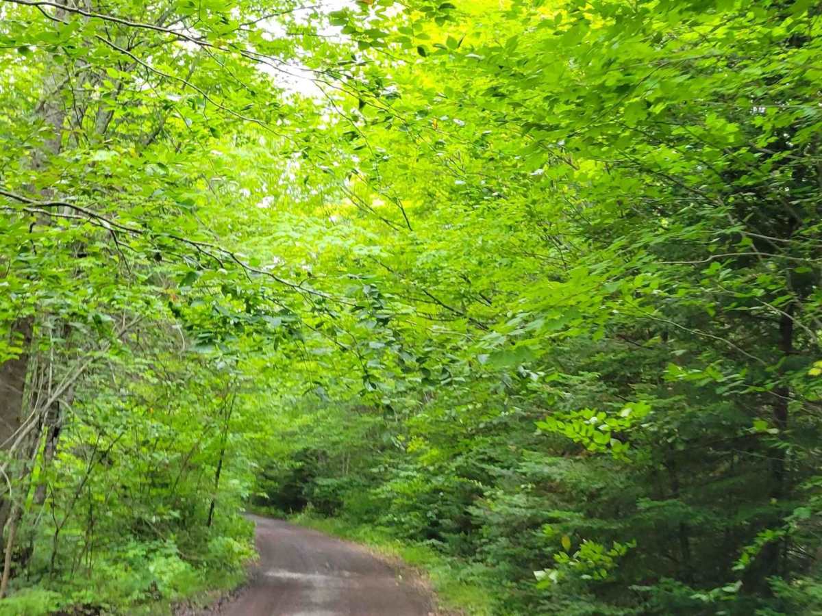 Keweenaw State Trail Segment 1 photo 2