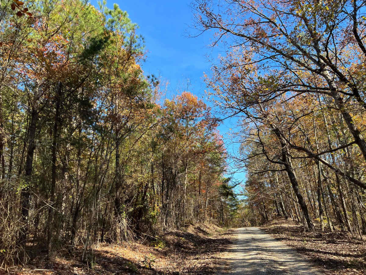 Ridge Road - FS 213 trail photo
