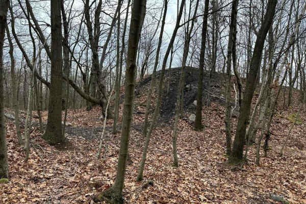 Locust Gap Single Track Add On