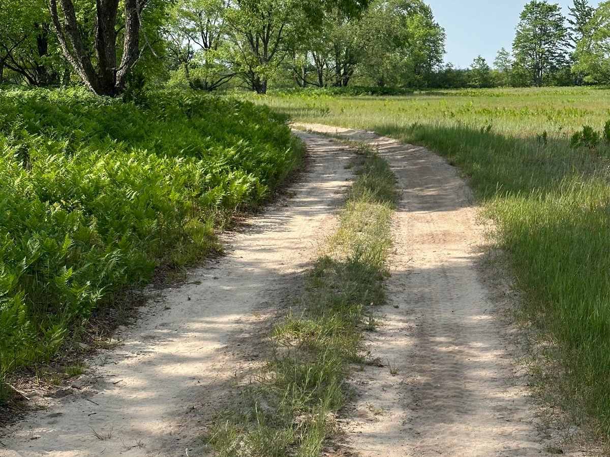 Grass Lake Spur photo 4