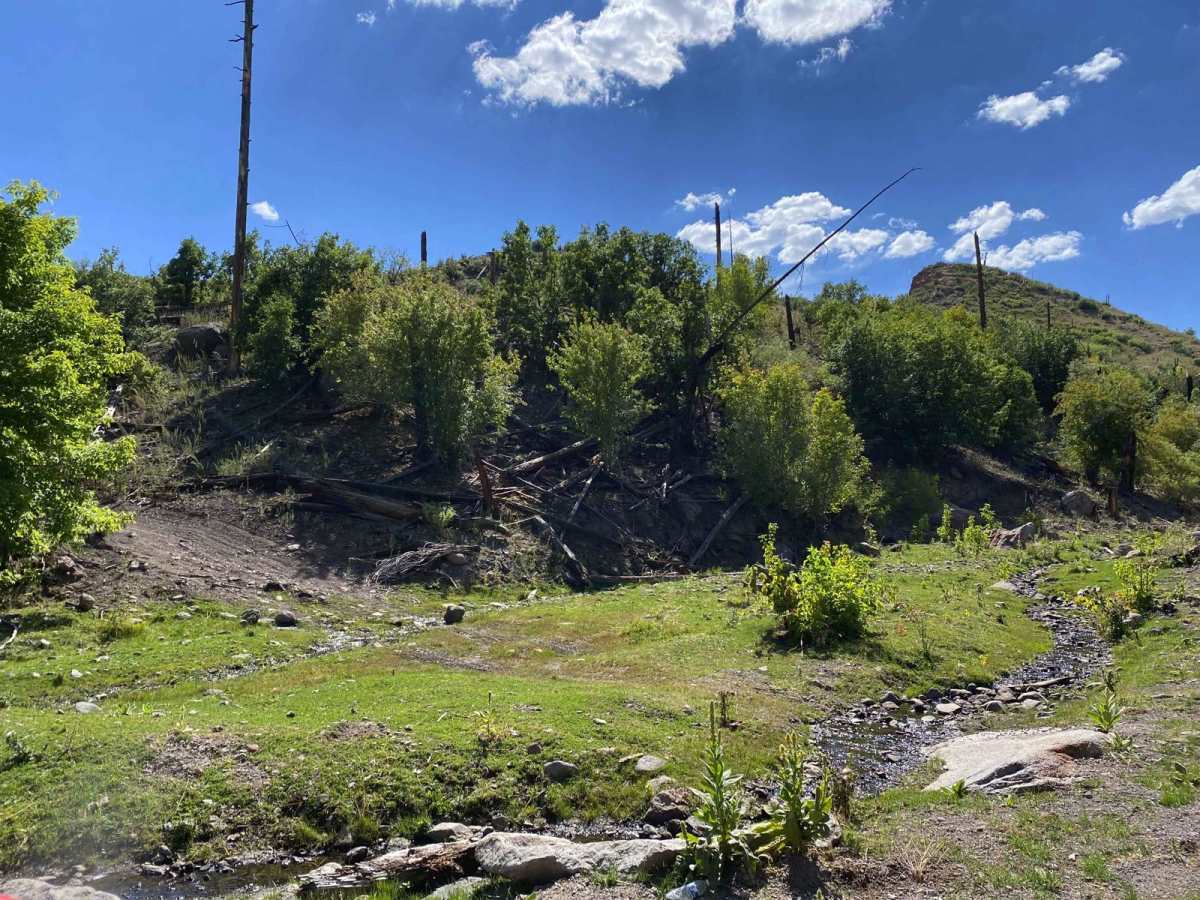 Guaje trail photo