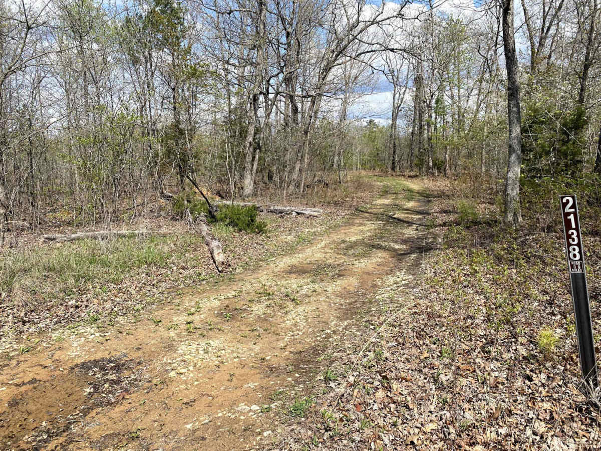 Derecho - FS 2138 trail photo