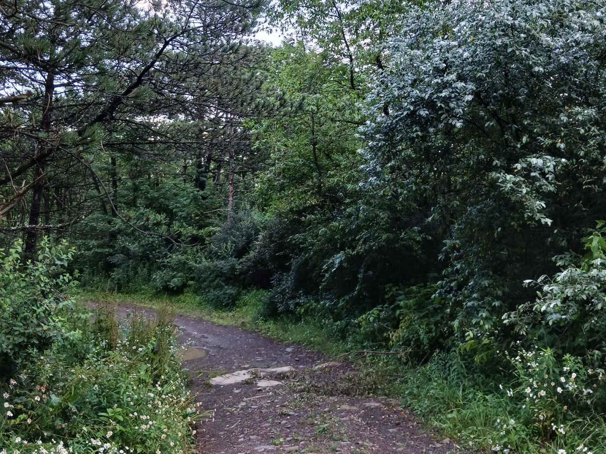 Trail 12U - Rock Run Recreation Area photo 3