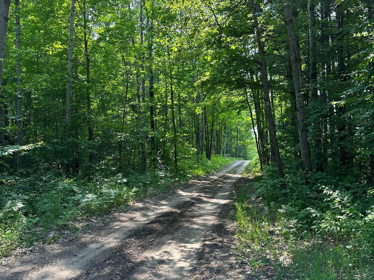 Trail 48468 photo 5