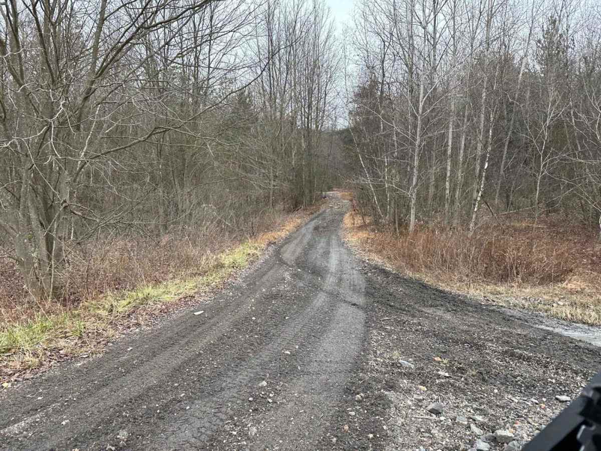 Locust Gap 28 photo 5