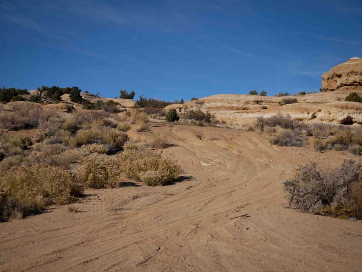Coyote Cat ATV trail photo