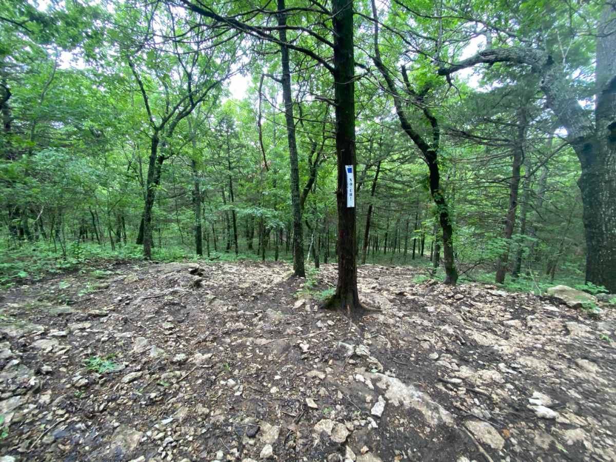 NO-UH! trail photo