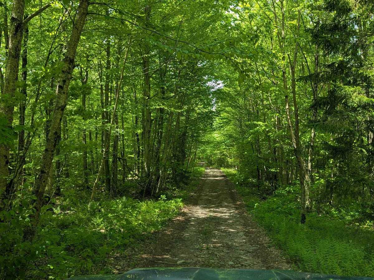 Goblet Springs Road photo 4