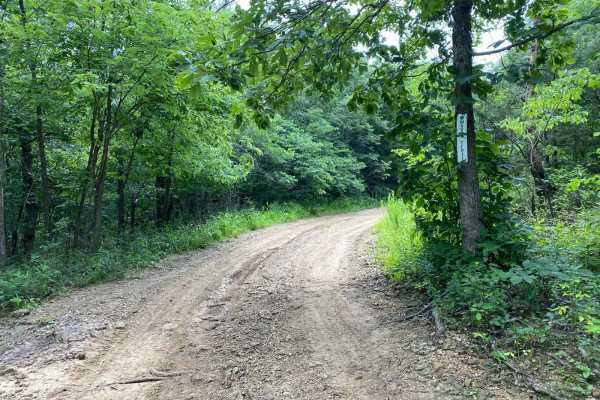 Wagon Trail