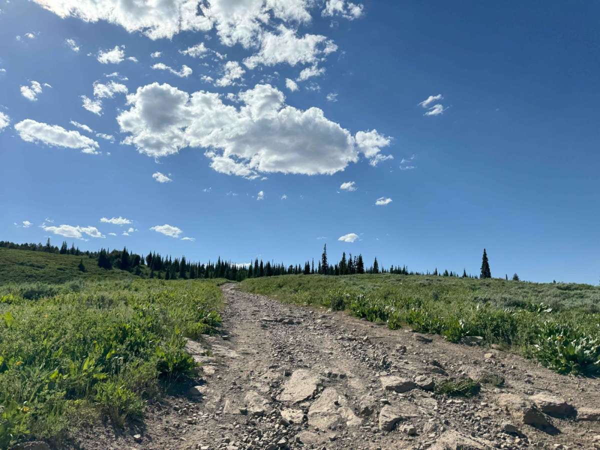 Rocky's Rough And Tumble trail photo