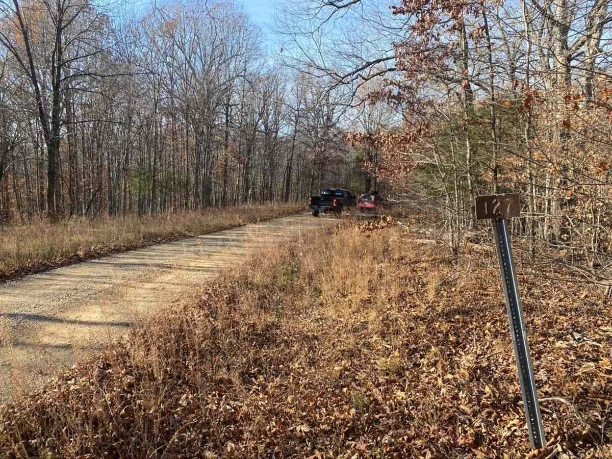 Kuttawa Landing FSR 127 trail photo