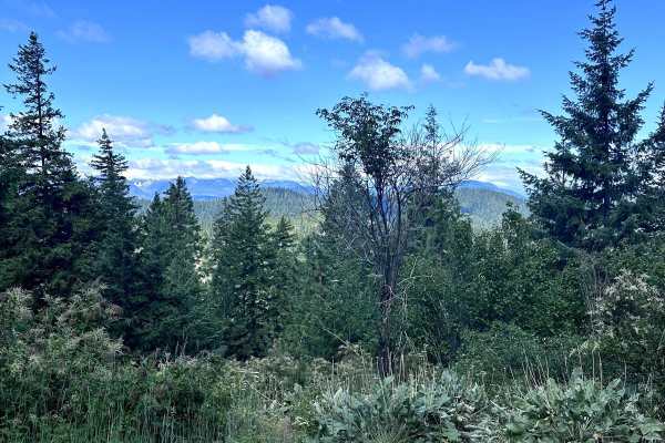 Second Creek Road