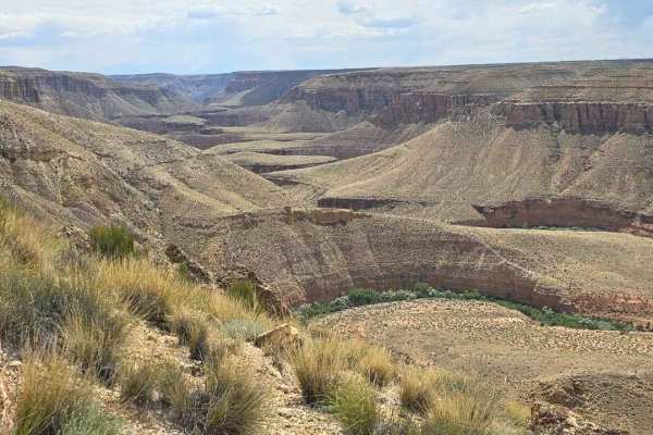 Swapp Tank Trail - BLM176