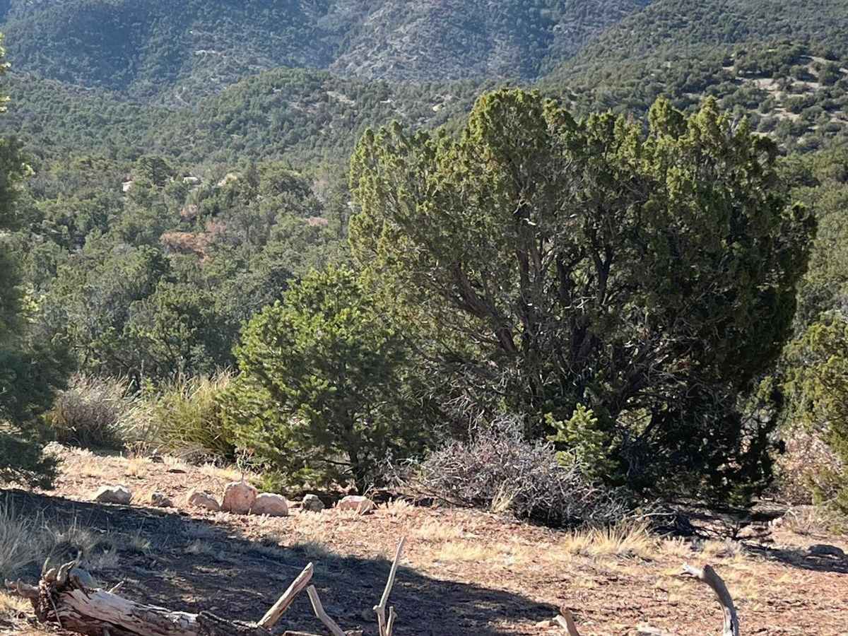 Tunnel Springs Road photo 3