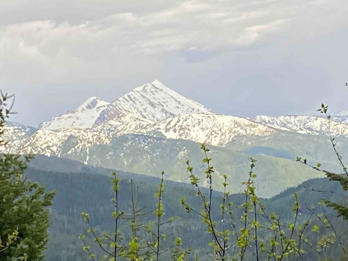 Emery Creek trail photo