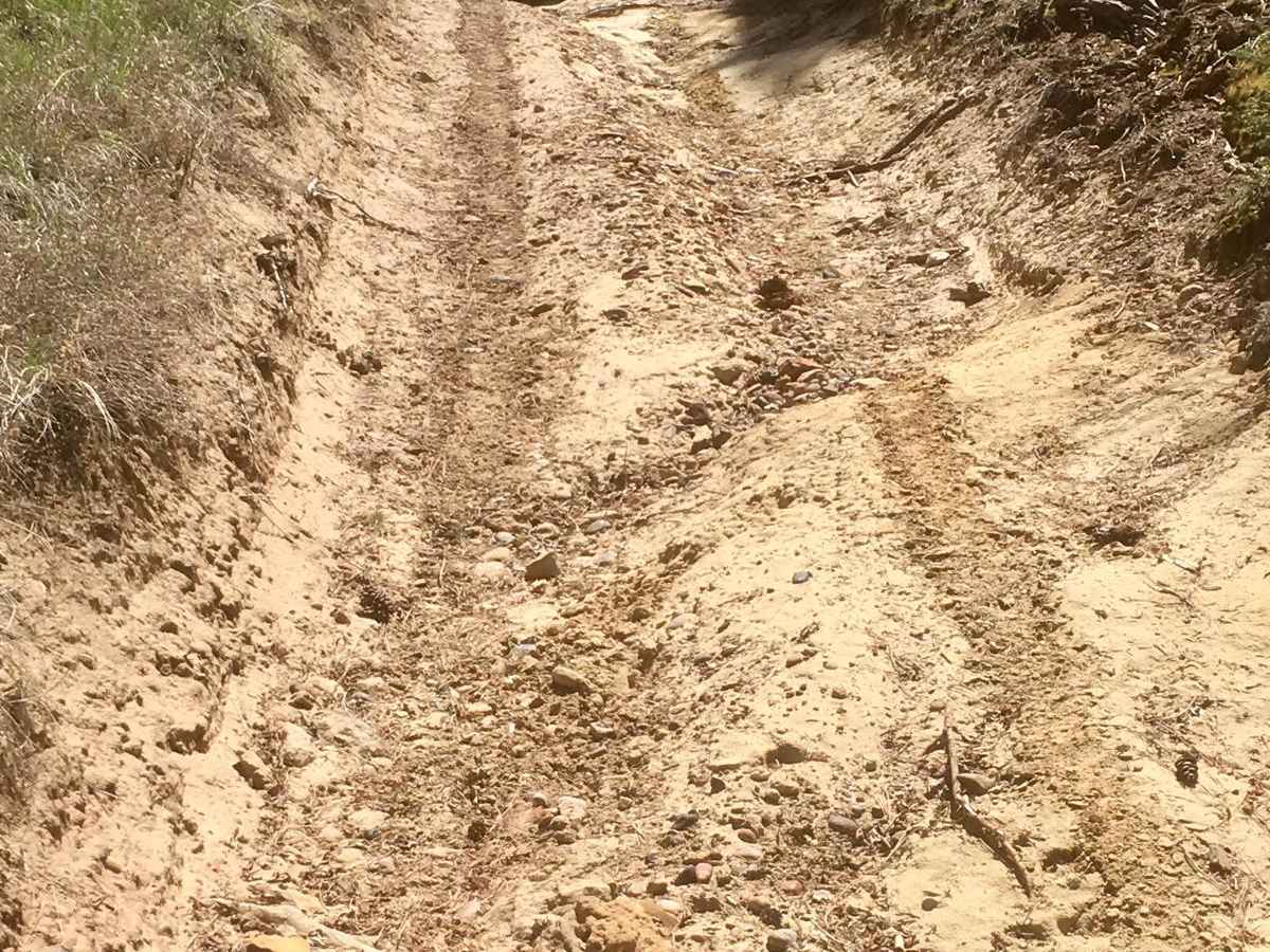 Dairy Hollow ATV Trail photo 6