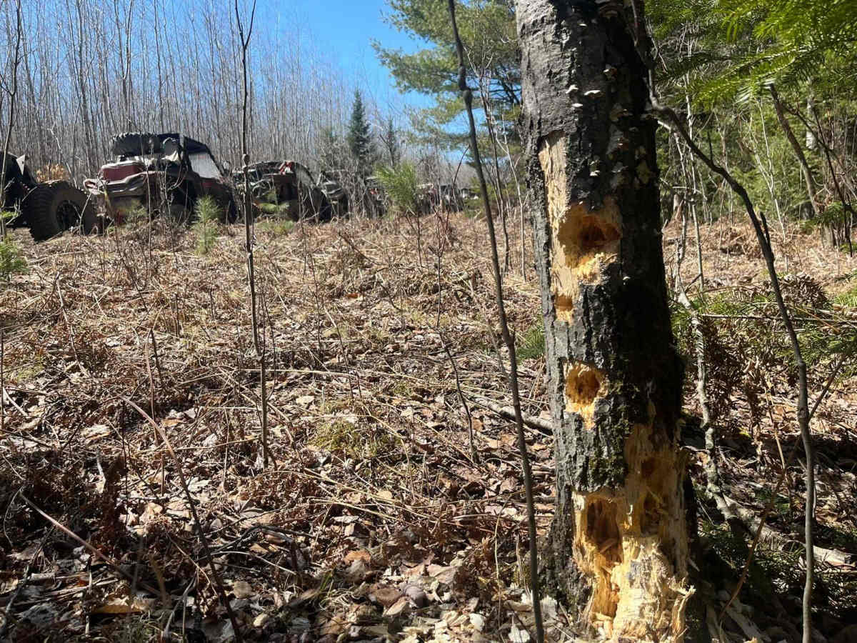 Beaver Dam photo 2
