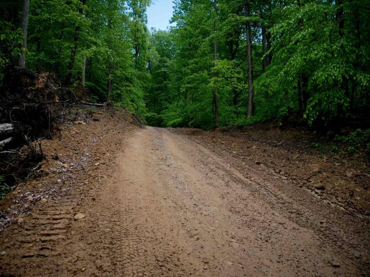DA 54 trail photo