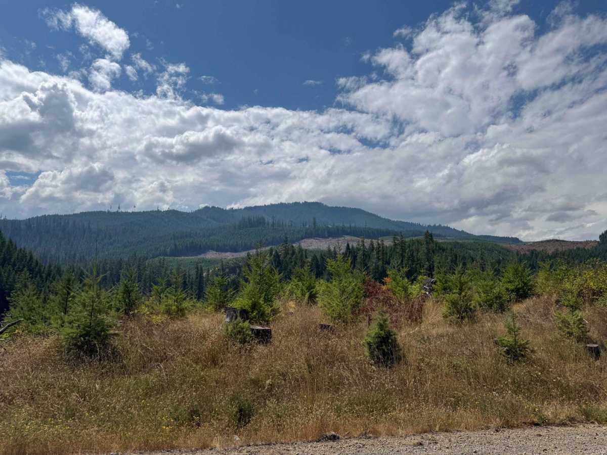 Little River - Quartz Mountain Rd photo 6