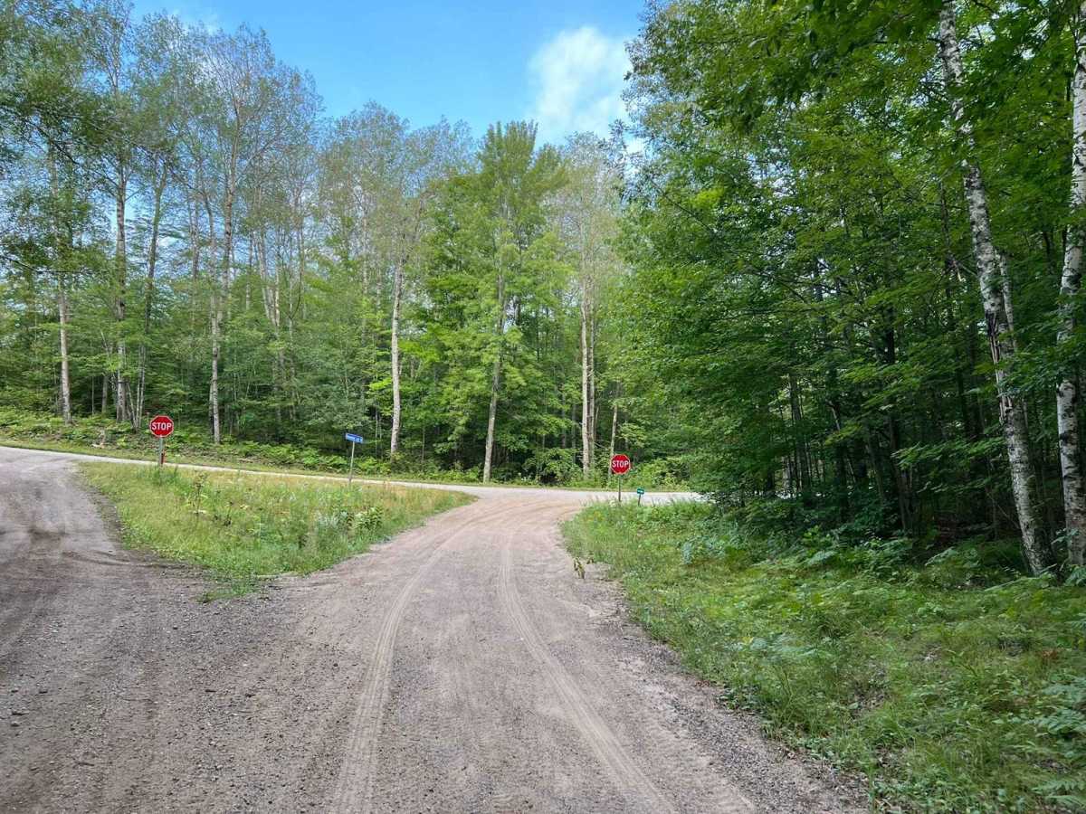 Camp 1 Road - FS 2361 photo 4