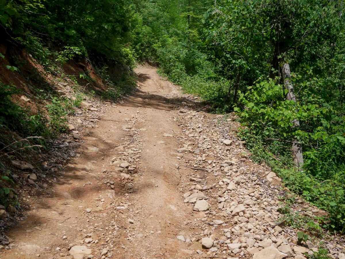 B22 trail photo
