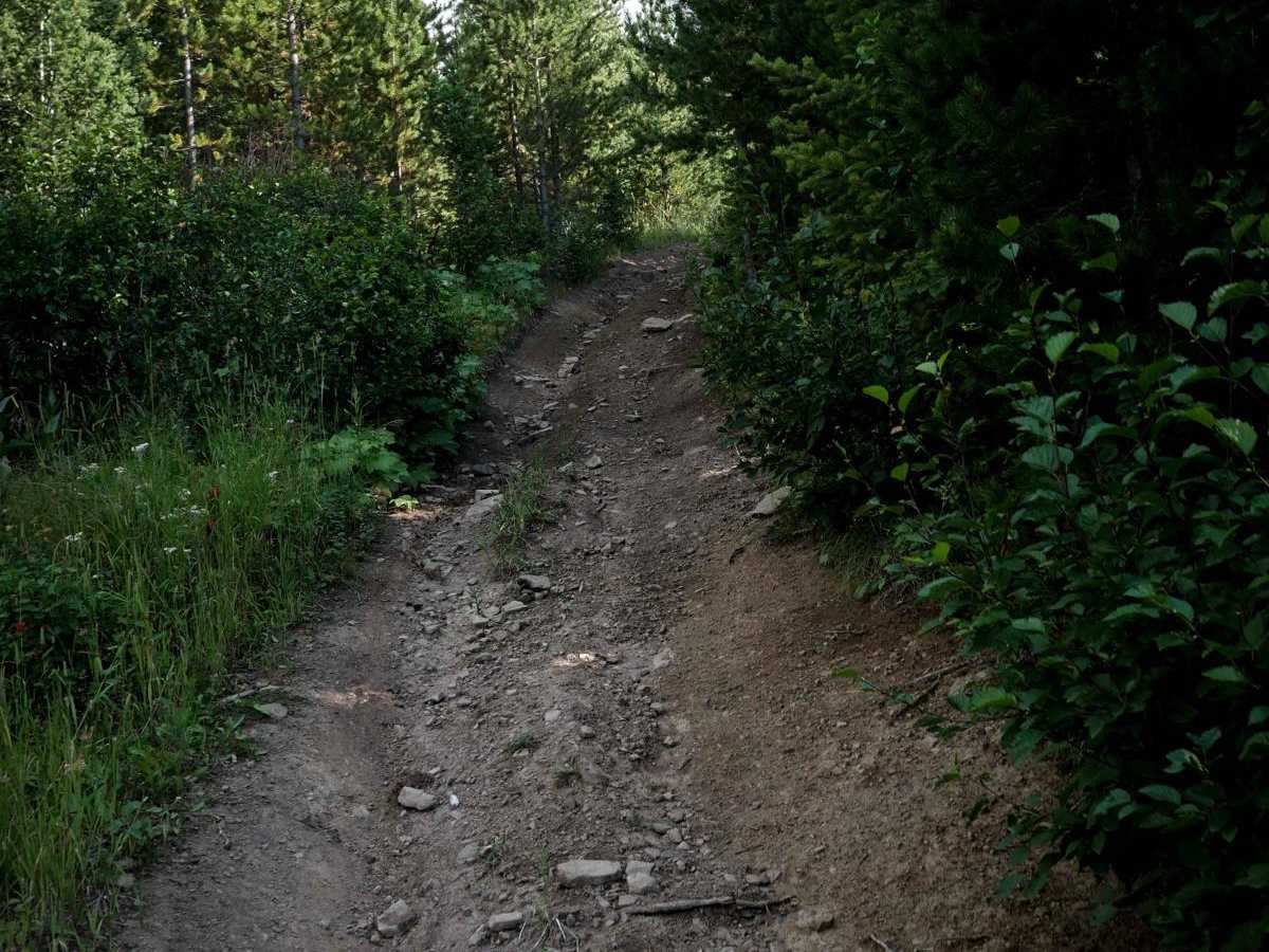 Canyon Creek Trail photo 3