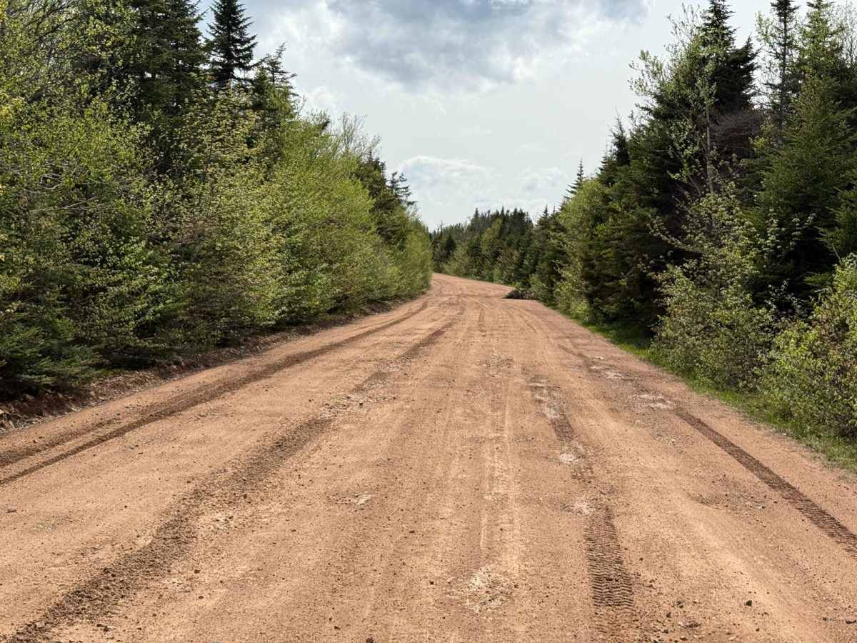 Fielding Road photo 5