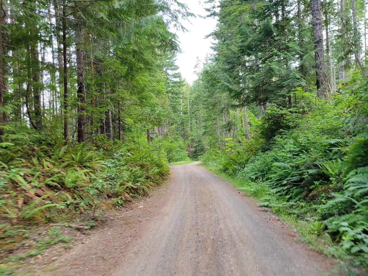 Planters Loop - FR 2340 photo 5
