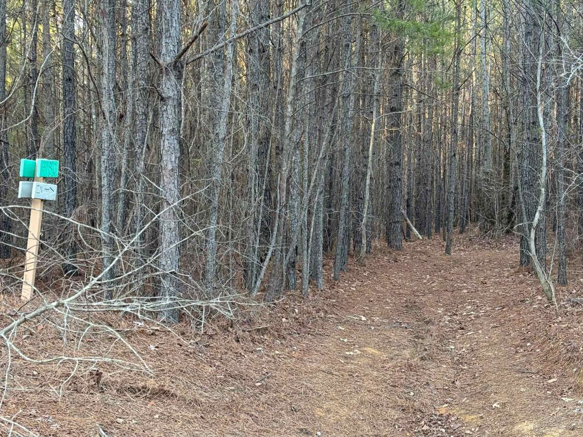 418C trail photo